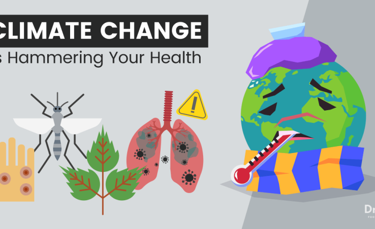 Principaux effets du changement climatique sur la santé (cela affecte votre corps MAINTENANT)