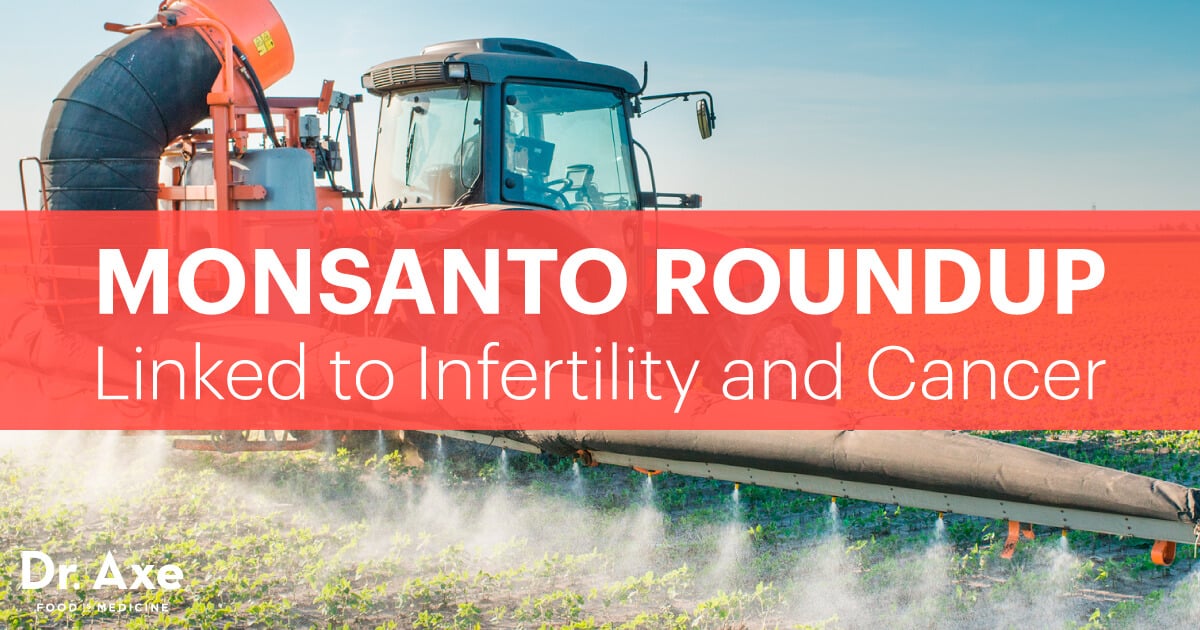 Monsanto Roundup lié à l'infertilité et au cancer