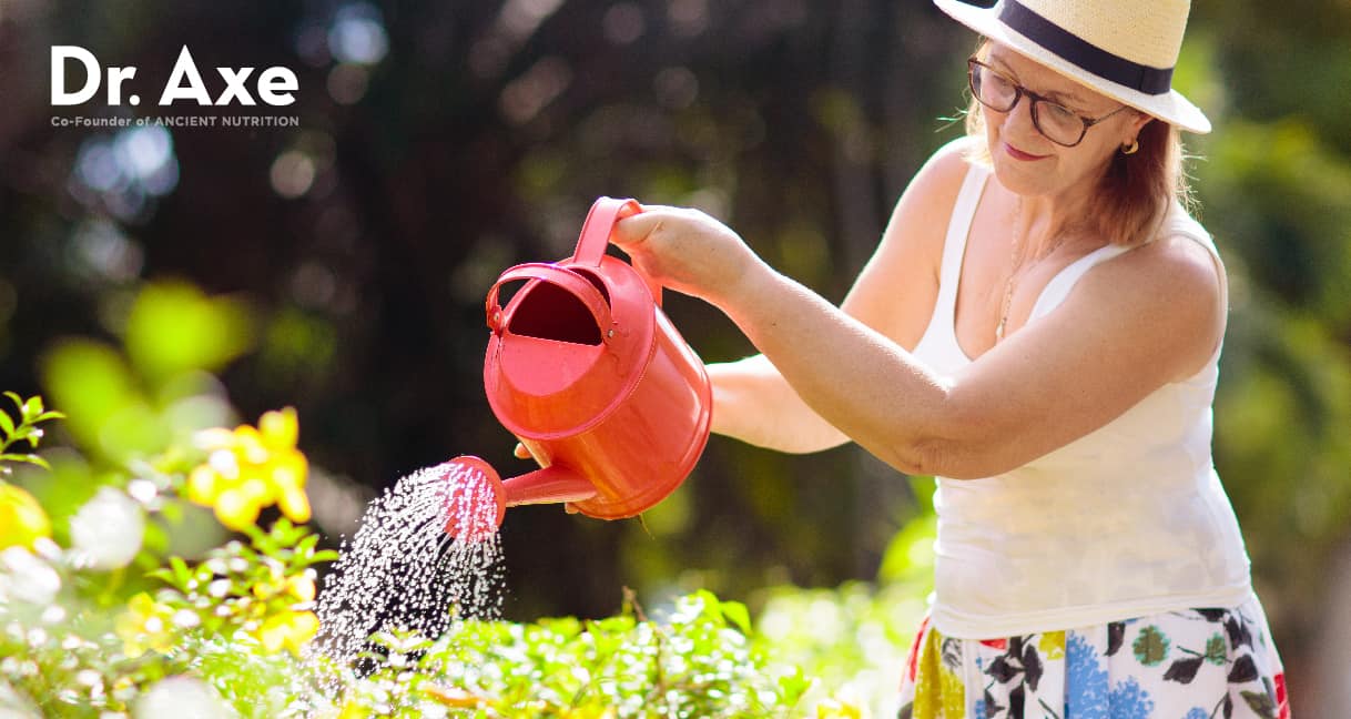 Les travaux ménagers et le jardinage améliorent la santé cardiaque des femmes âgées