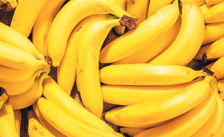 Nutrition à la banane: guérisseur intestinal ou perturbateur de la glycémie?