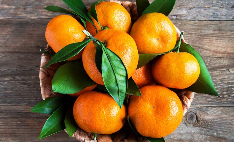 Fruit de mandarine: avantages, nutrition et comparaison avec une orange