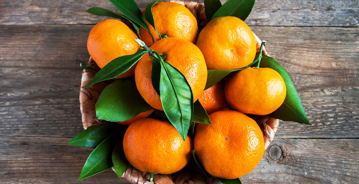 Fruit de mandarine: avantages, nutrition et comparaison avec une orange