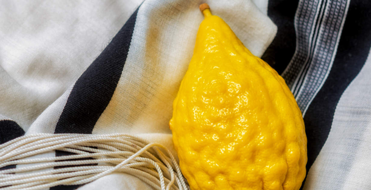 Les fruits du citron profitent à l’immunité, à la santé cardiaque et plus encore