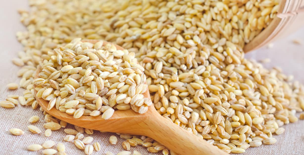 Baies de blé: les 6 principaux avantages de la nutrition des baies de blé