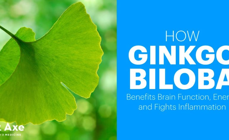 Le Ginkgo Biloba profite à l'énergie, à l'humeur et à la mémoire