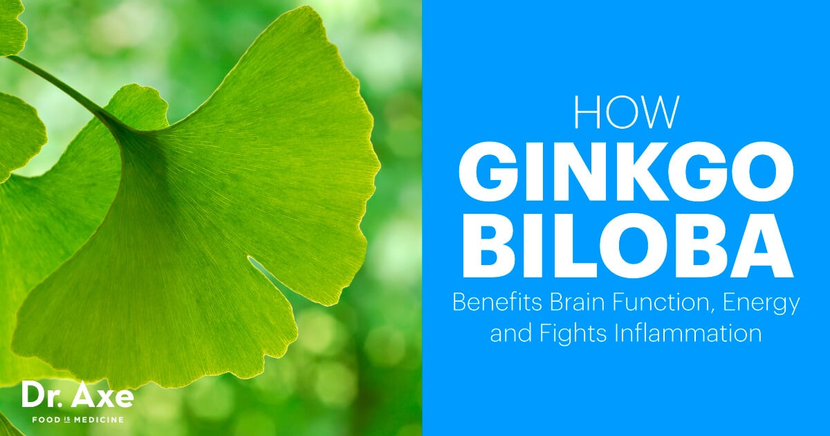 Le Ginkgo Biloba profite à l'énergie, à l'humeur et à la mémoire