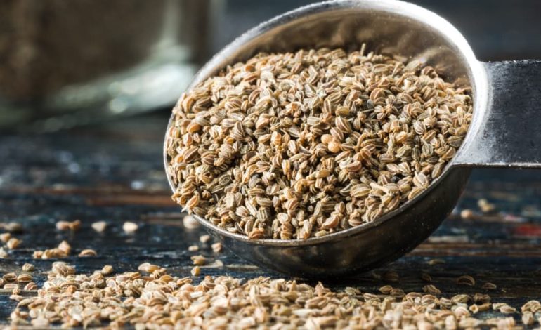 Pouvez-vous manger des graines de céleri ?  Top 5 des avantages des graines de céleri