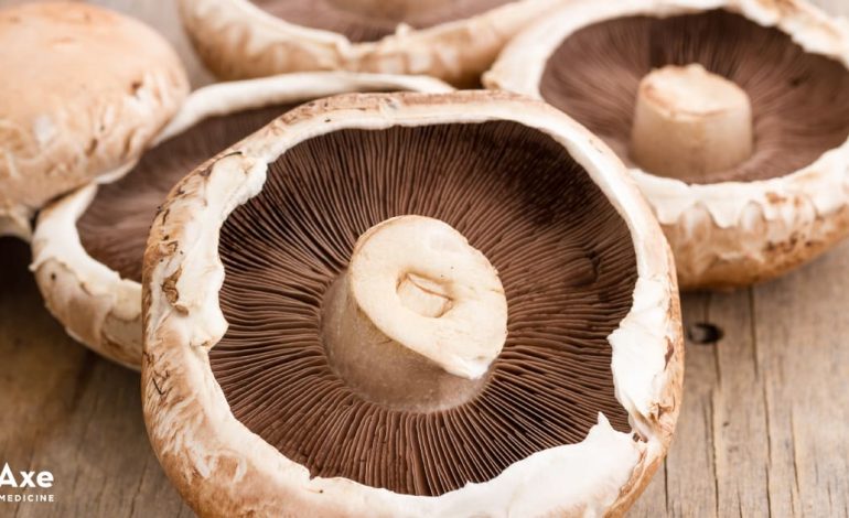 Le champignon portobello aide à combattre le cancer, l'inflammation et plus encore