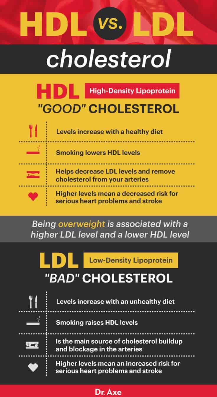 Cholestérol HDL vs cholestérol LDL - Dr Axe