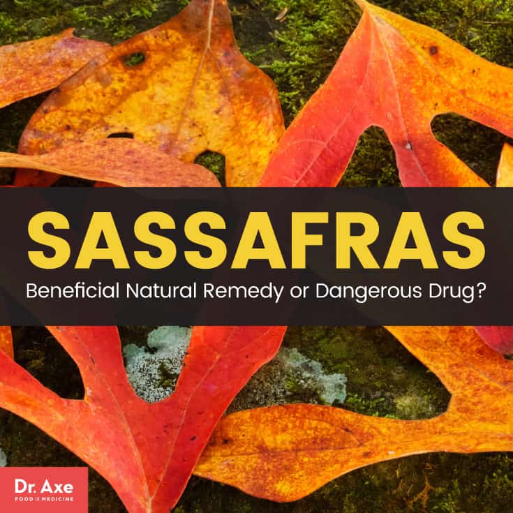 Sassafras - Dr Axe