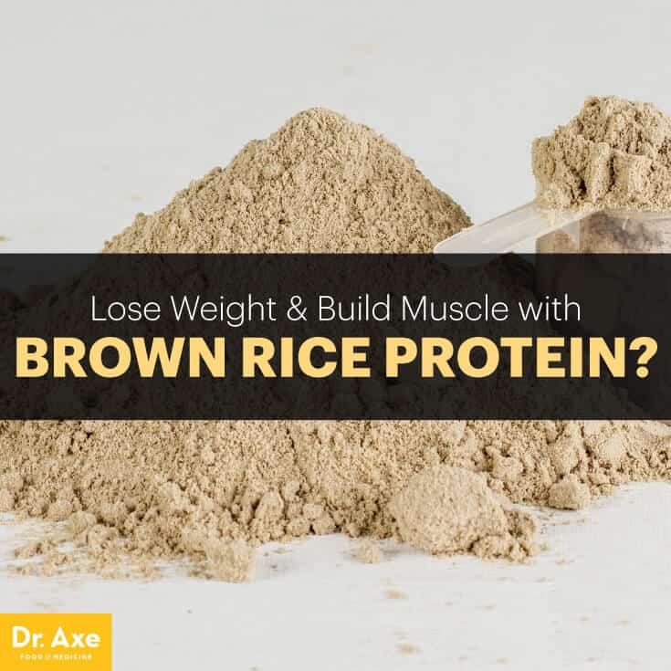 Poudre de protéine de riz brun - Dr Axe