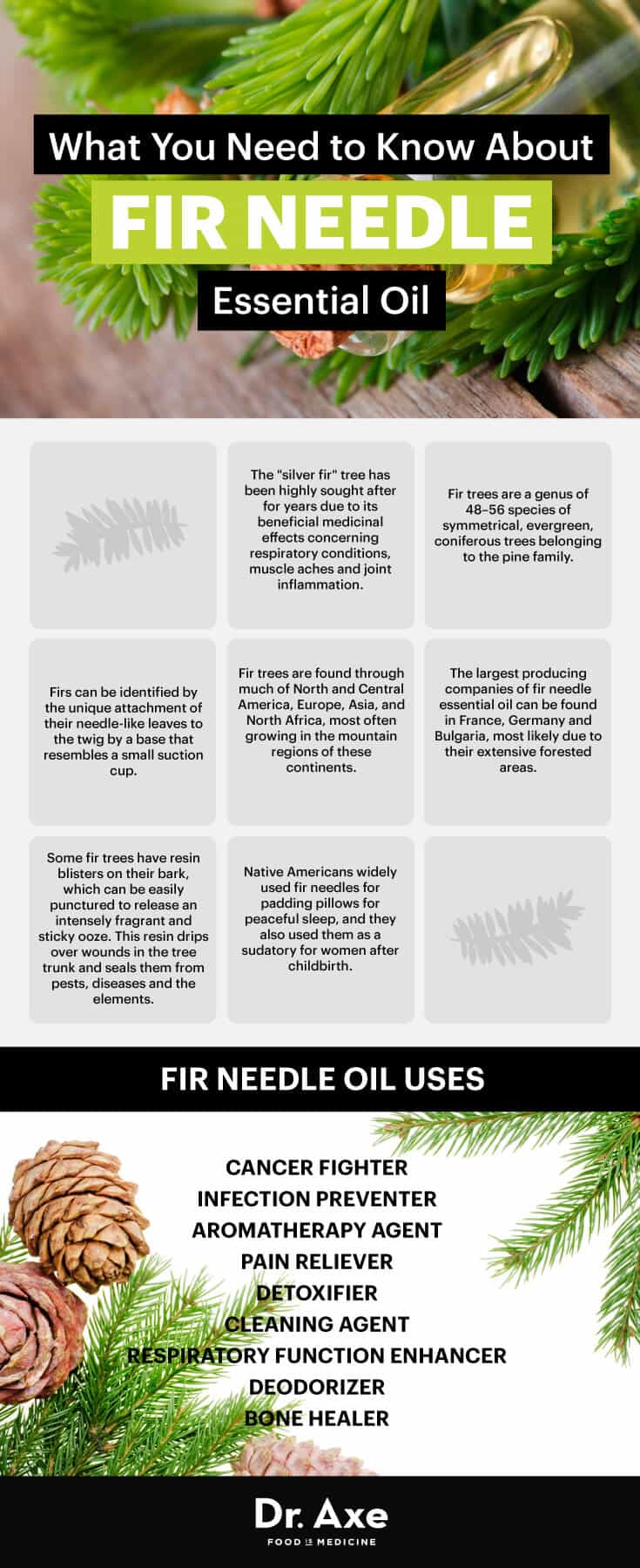 Guide des huiles essentielles d'aiguilles de sapin - Dr Axe